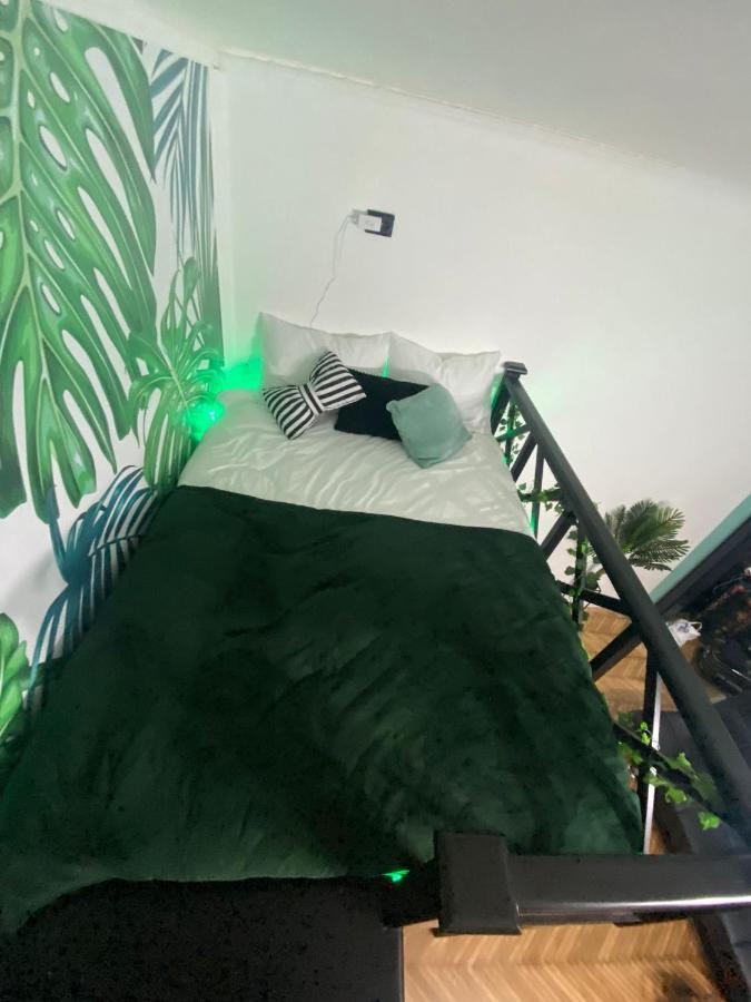 Green Vibes Central ブラショフ エクステリア 写真