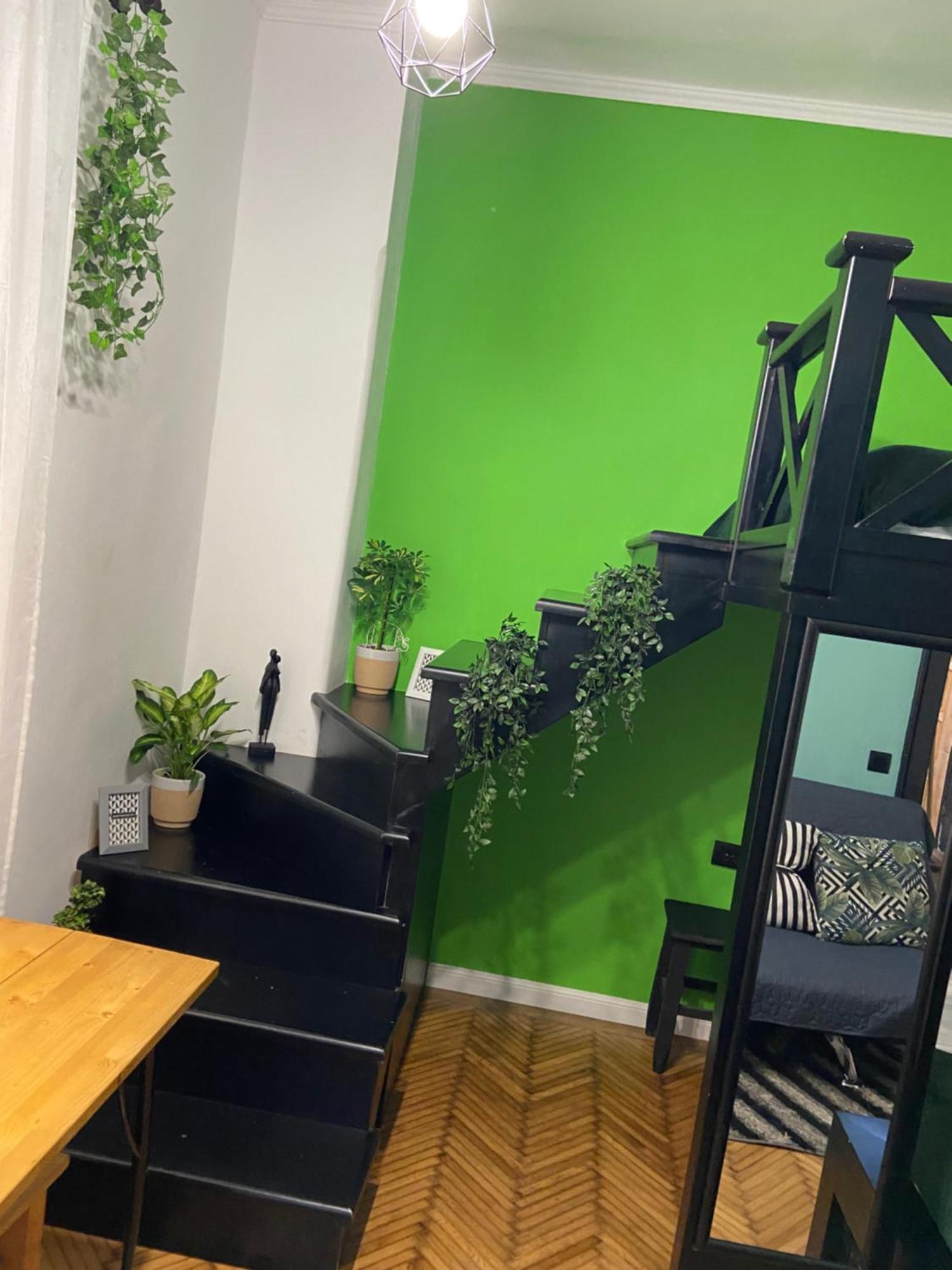 Green Vibes Central ブラショフ エクステリア 写真